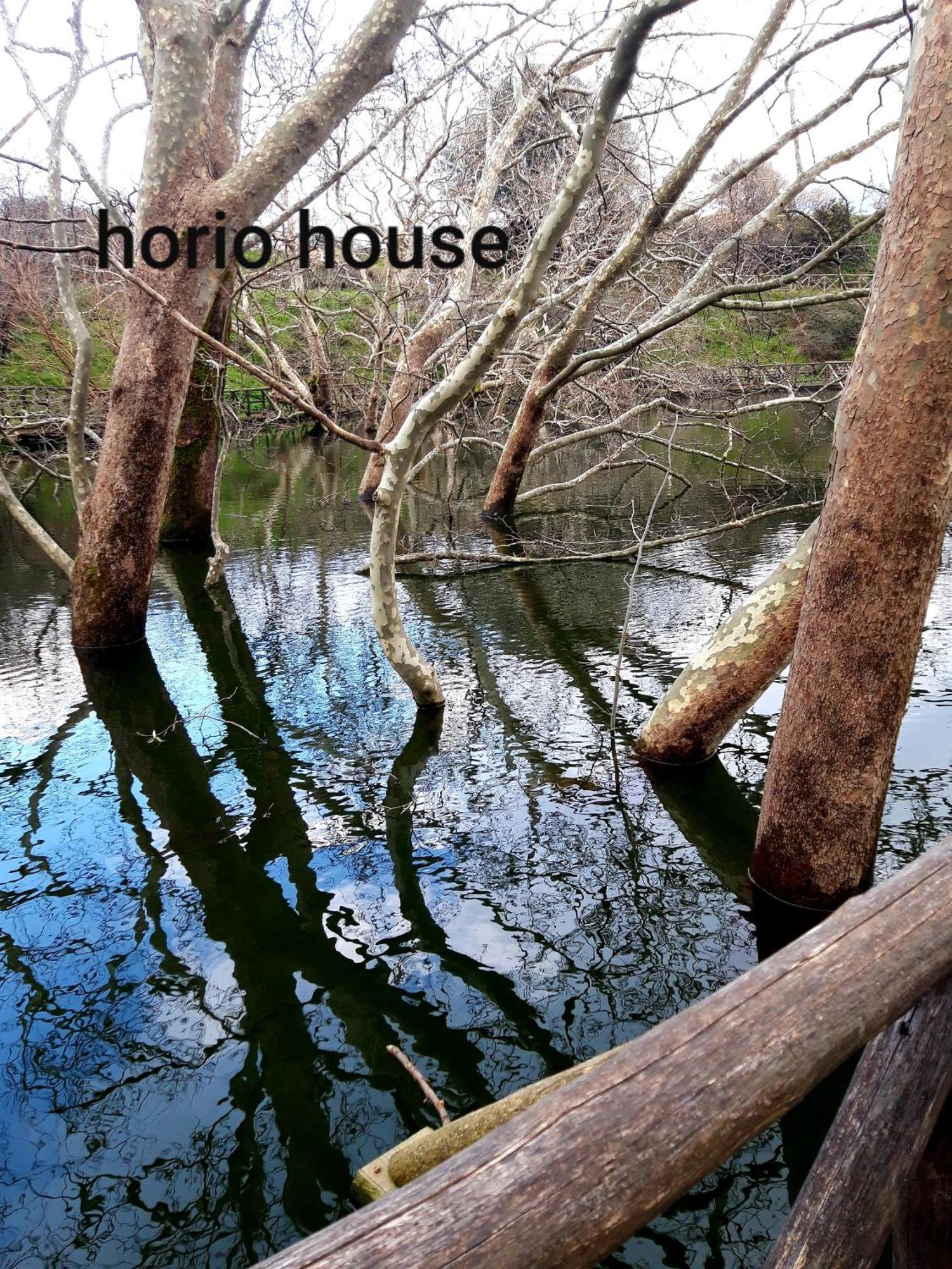 Horio House Villa Limni  Cameră foto